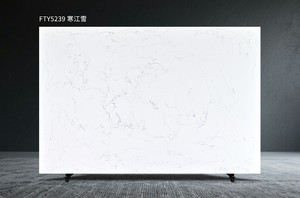 FTY5239 nieve en el Río frío