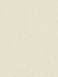 Magnolia Beige FTY5066