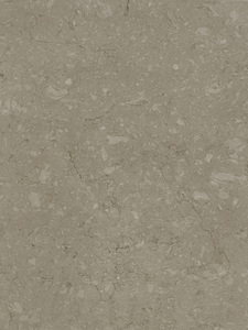 Imperial Taupe FTY5094