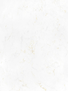 White Gold FTY5060