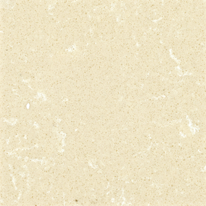 Anna Beige FTY2409