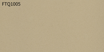 FTQ1005