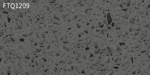 FTQ1209