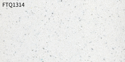 FTQ1314