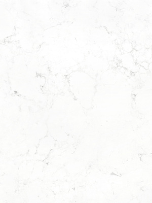 Venus White FTY5020