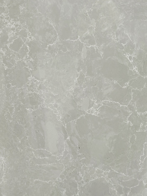 Grigio Nettuno FTY5034